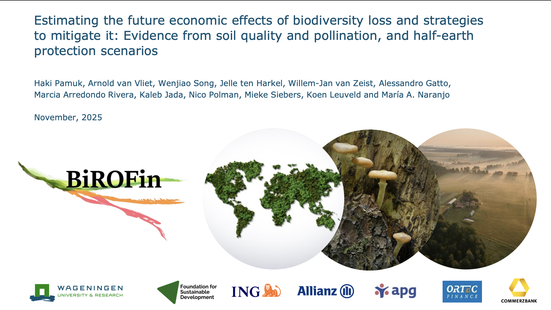 Estimating the future economic effects of biodiversity loss and strategies to mitigate it: Evidence from soil quality and pollination, and half-earth protection scenarios Image